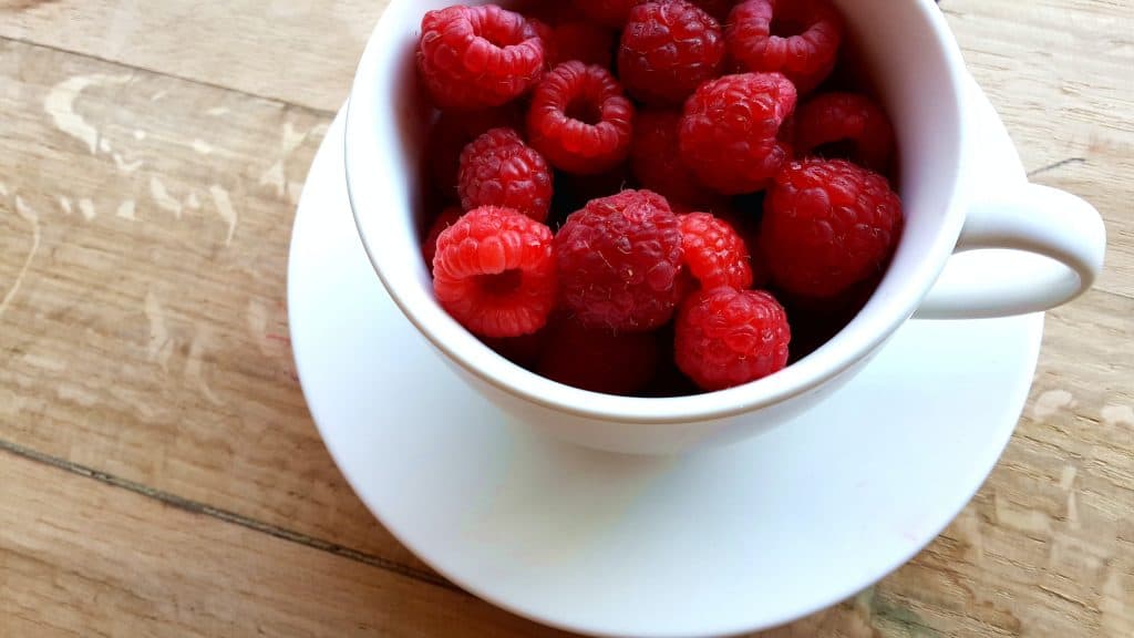 Benefits of Red Raspberry in Pregnancy | Kristy's Cottage blog