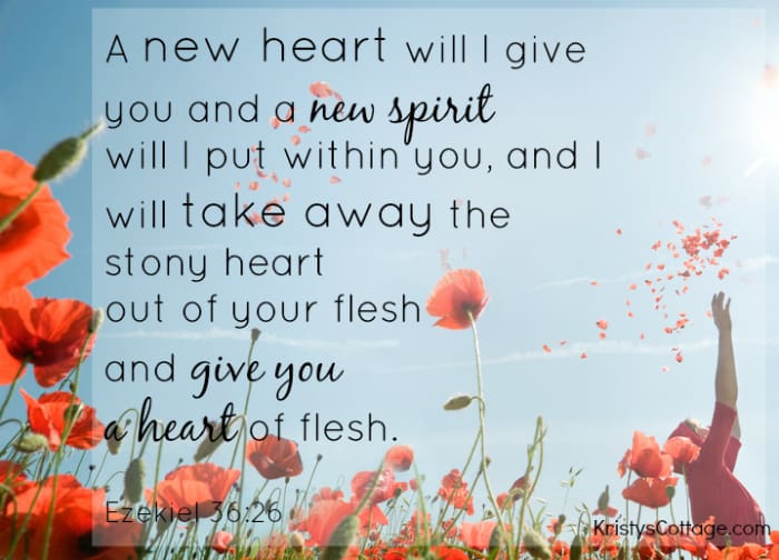 "A new heart will I give you and a new spirit will I put within you, and I will take away the stony heart out of your flesh, and give you a heart of flesh." Ezekiel 36:26