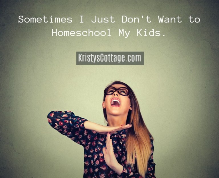Sometimes I Don’t Want to Homeschool!