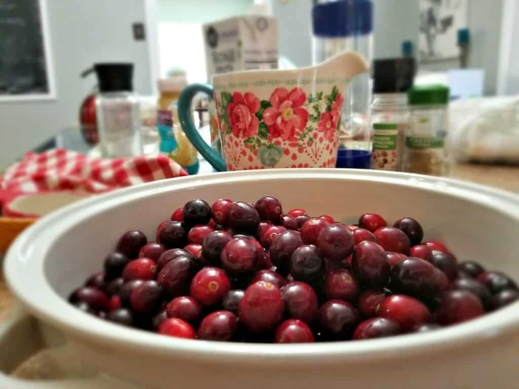 Homemade Cranberry Sauce Recipe + Tutorial | Kristy's Cottage blog