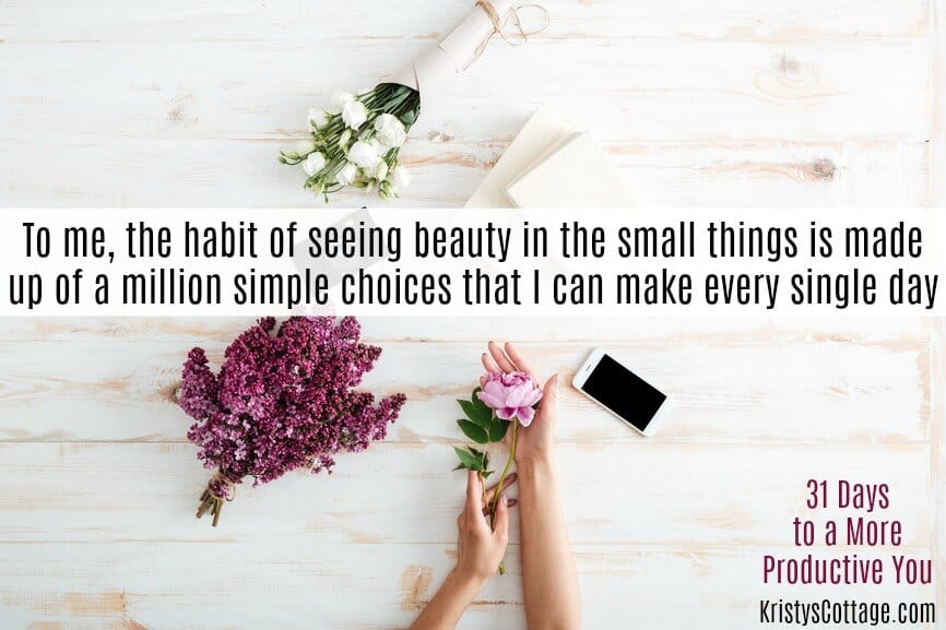 To me, the habit of seeing beauty in the small things is made up of a million simple choices that I can make every single day. | KristysCottage.com