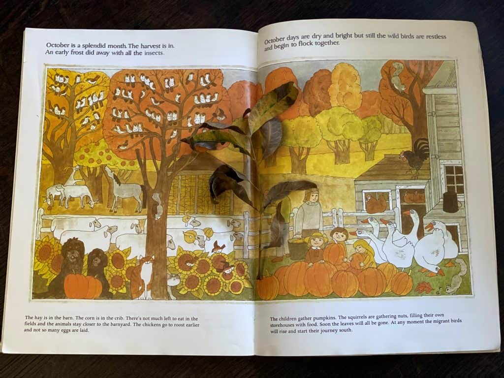 Children's Books About Pumpkins | Simply Kristy Lynn