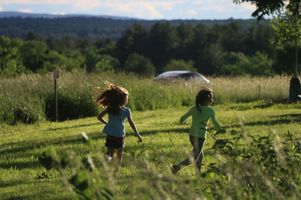 Virtual science summer camp options: astronomy, biology, physics, earth science